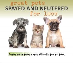 low cost spay neuter myths